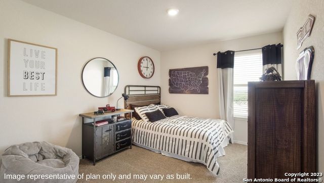 1568 Agave Cellar, New Braunfels, TX 78130