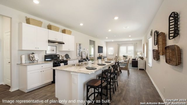 1568 Agave Cellar, New Braunfels, TX 78130