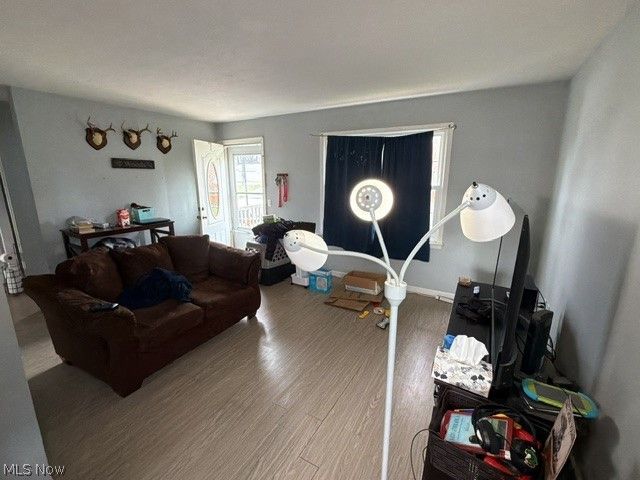 1451 Oldsmar Avenue, Madison, OH 44057