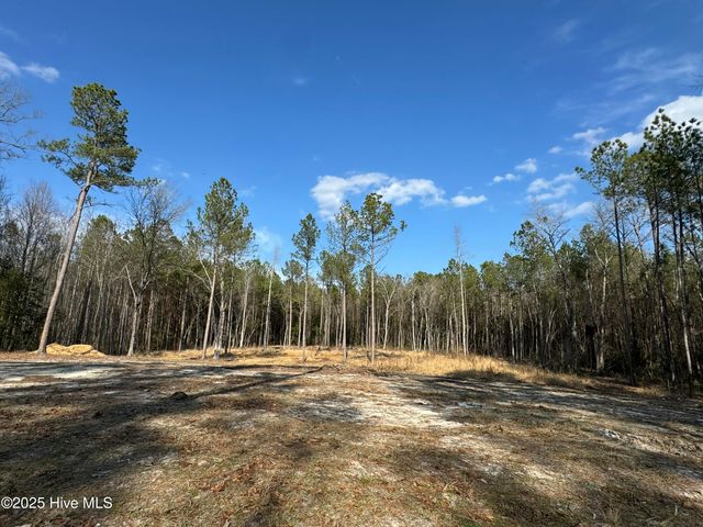 979 Aiken Road, Vass, NC 28394