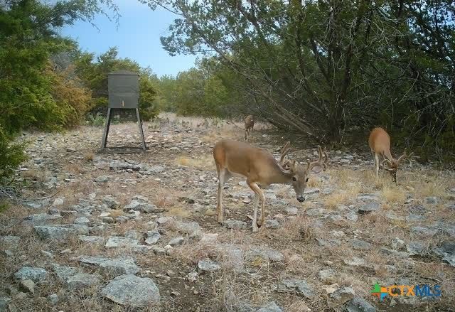 FM 1113 W Lindorbet Ranch, Lot 16A, Copperas Cove, TX 76522