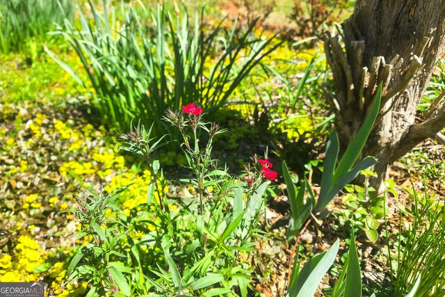 120 Shilling Way, Newnan, GA 30263