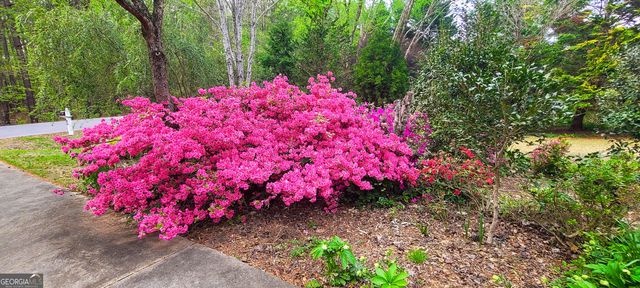 120 Shilling Way, Newnan, GA 30263