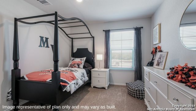 1517 Agave Cellar, New Braunfels, TX 78130