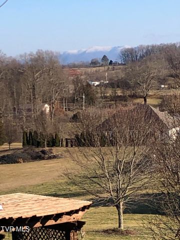 410 Grovemont Place, Piney Flats, TN 37686