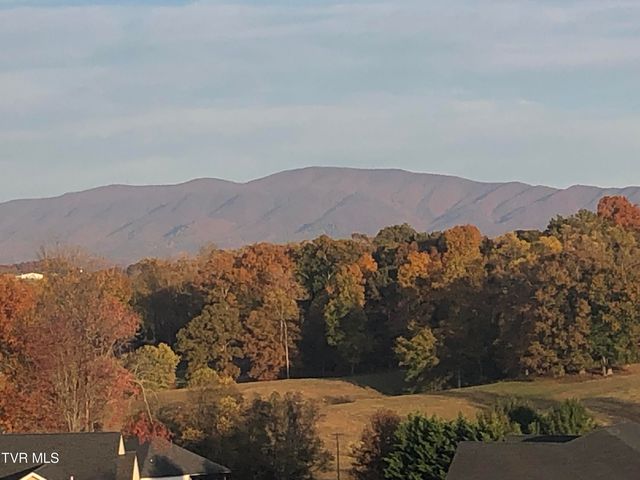 410 Grovemont Place, Piney Flats, TN 37686