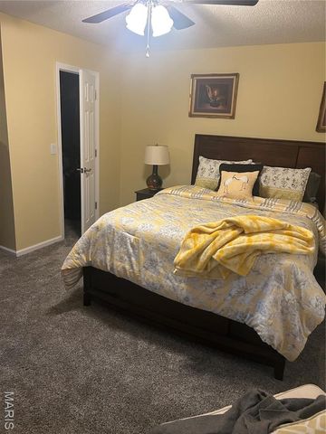 106 Holmes Drive, Sikeston, MO 63801