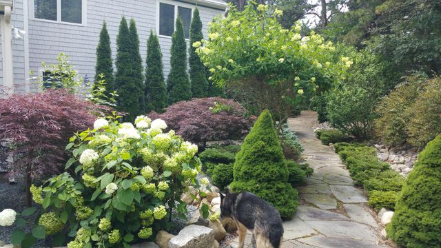 34 Polaris Drive, Mashpee, MA 02649