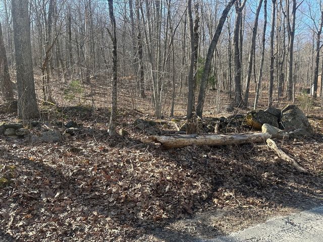 Lot 1 Woodhill Rd, Monson, MA 01057