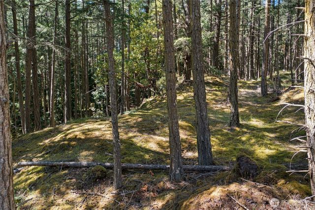 668 Carefree Lane, Friday Harbor, WA 98250