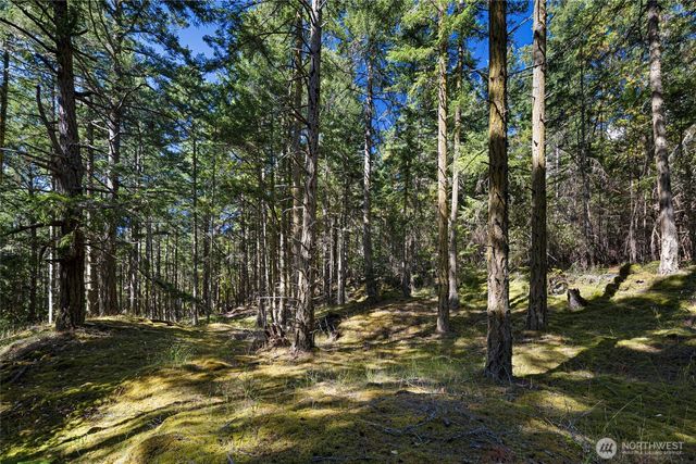 668 Carefree Lane, Friday Harbor, WA 98250