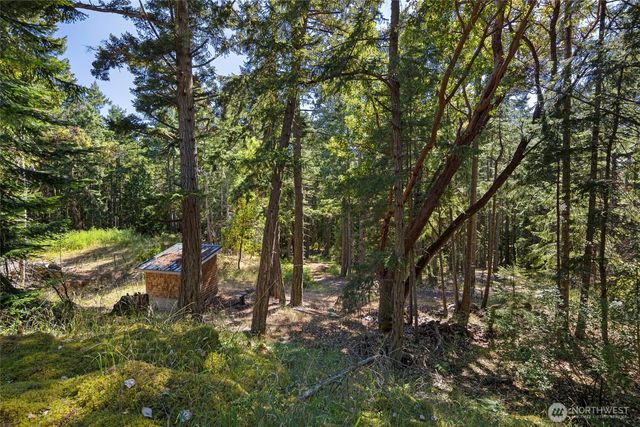 668 Carefree Lane, Friday Harbor, WA 98250