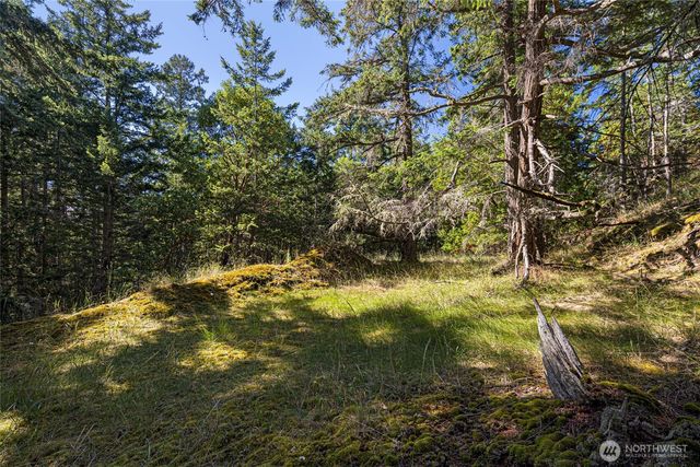 668 Carefree Lane, Friday Harbor, WA 98250