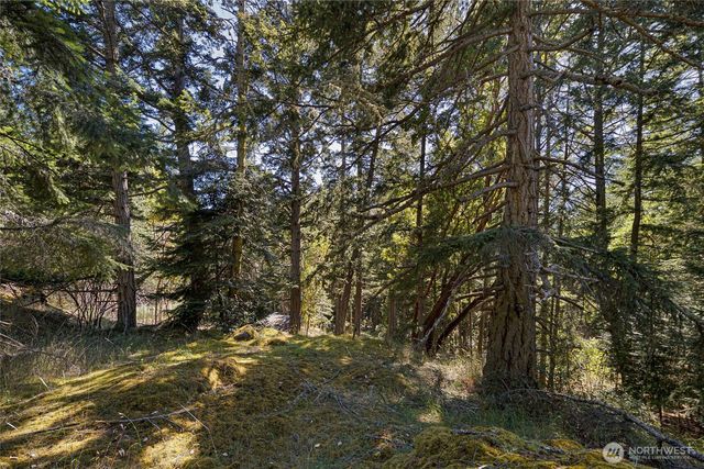 668 Carefree Lane, Friday Harbor, WA 98250