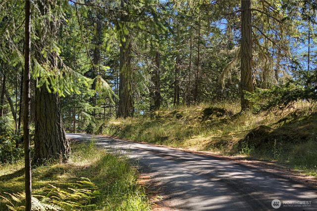 668 Carefree Lane, Friday Harbor, WA 98250