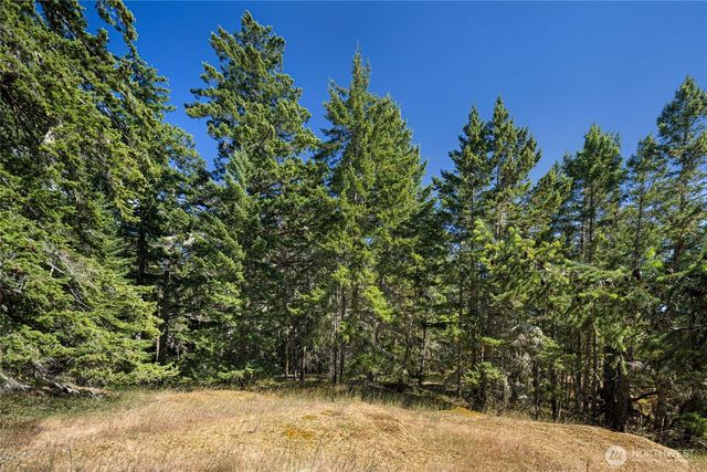 668 Carefree Lane, Friday Harbor, WA 98250