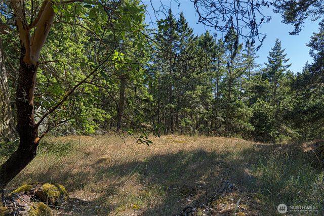 668 Carefree Lane, Friday Harbor, WA 98250
