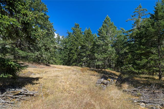 668 Carefree Lane, Friday Harbor, WA 98250