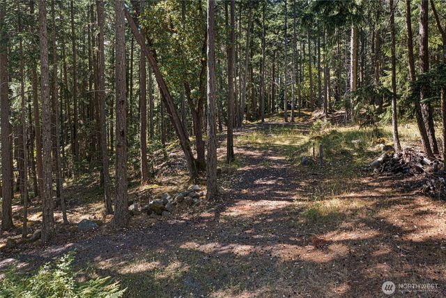 668 Carefree Lane, Friday Harbor, WA 98250
