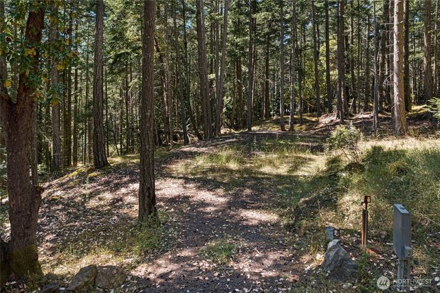668 Carefree Lane, Friday Harbor, WA 98250