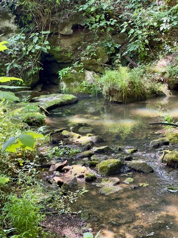 7120 N Hwy 127, Albany, KY 42602