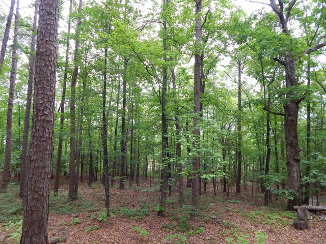 608 Hazel, Heber Springs, AR 72543