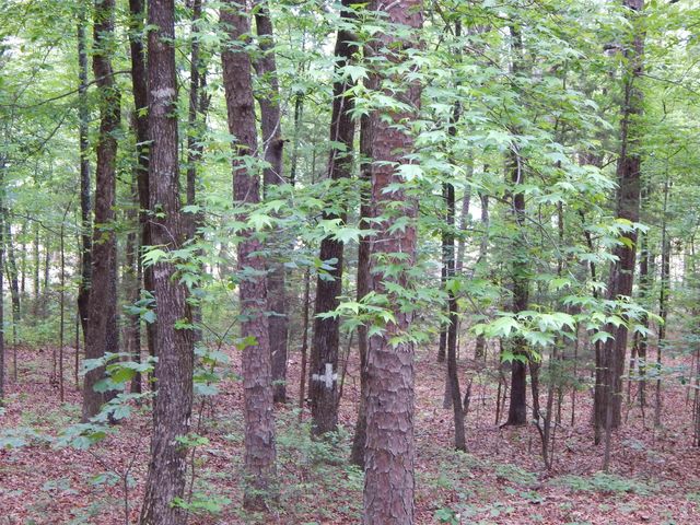 608 Hazel, Heber Springs, AR 72543