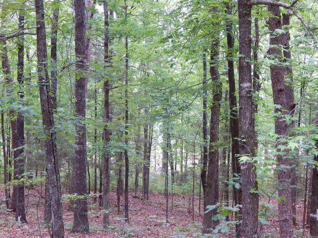 608 Hazel, Heber Springs, AR 72543