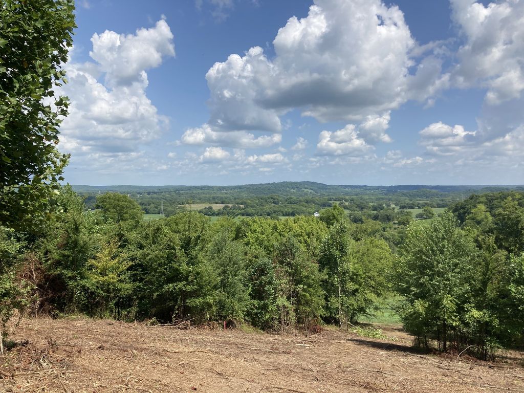 12 Joy Rd, Mount Pleasant, TN 38474
