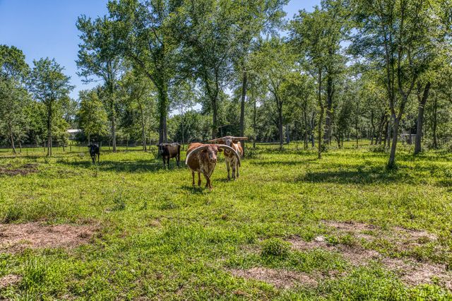 16597 Fm 912, Washington, TX 77880