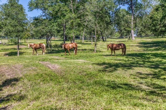 16597 Fm 912, Washington, TX 77880