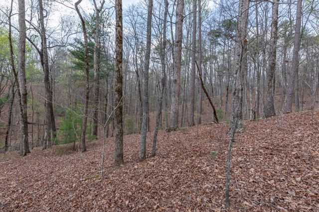 Lot 6B Glenridge Way, Ellijay, GA 30540