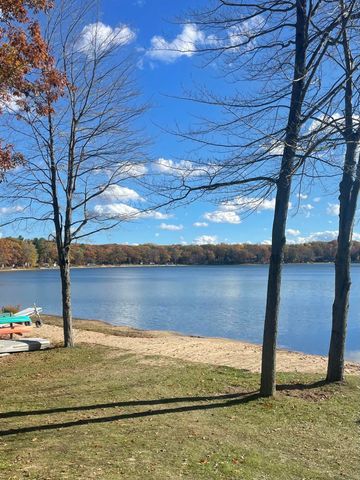 16211 Pretty Lake Drive, Mecosta, MI 49332