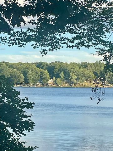 16211 Pretty Lake Drive, Mecosta, MI 49332