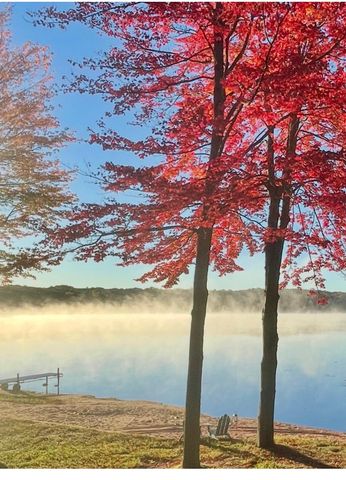 16211 Pretty Lake Drive, Mecosta, MI 49332