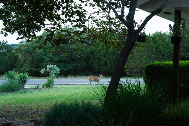 3807 Cedar GLN, Lago Vista, TX 78645