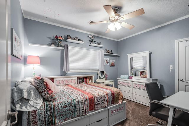 15774 Fm 3083 Road, Conroe, TX 77302