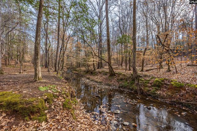 1211 Muddy Ford Road, Chapin, SC 29036