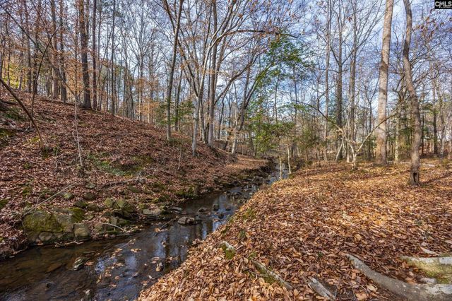 1211 Muddy Ford Road, Chapin, SC 29036