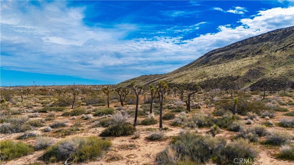 Image 16 of property listing at 55455 Pipes Canyon, Pioneertown, CA 92268