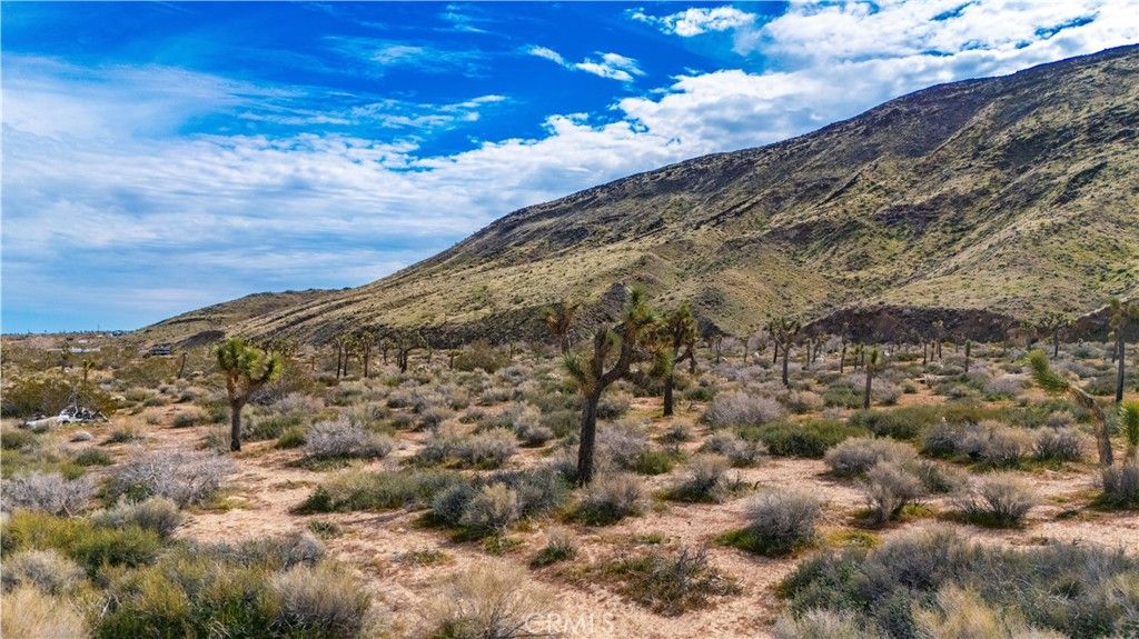 Image 18 of property listing at 55455 Pipes Canyon, Pioneertown, CA 92268