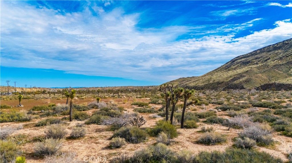 Image 25 of property listing at 55455 Pipes Canyon, Pioneertown, CA 92268