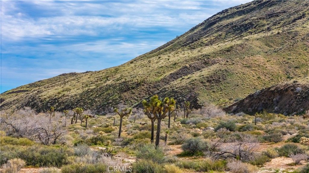 Image 27 of property listing at 55455 Pipes Canyon, Pioneertown, CA 92268