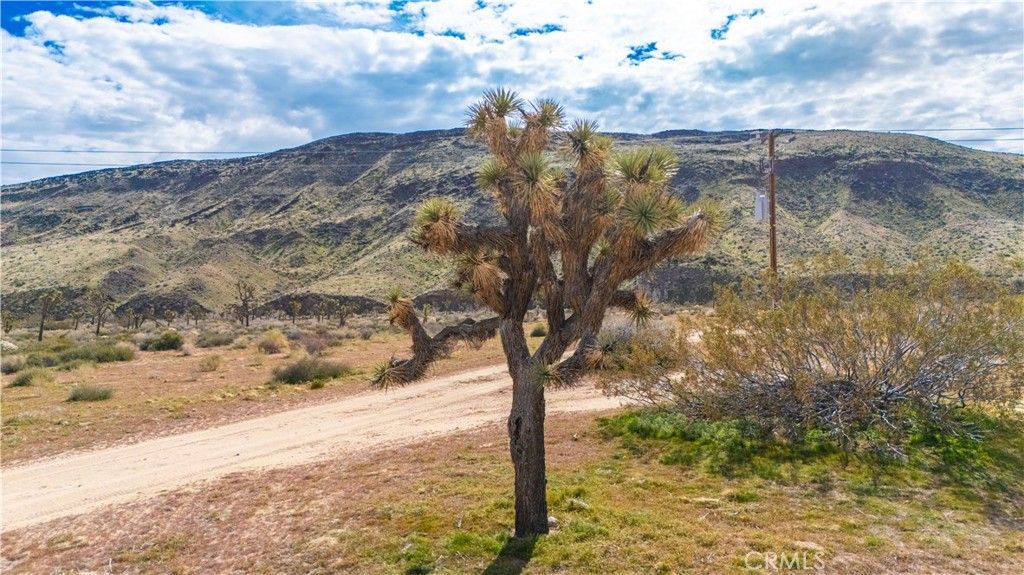 Image 28 of property listing at 55455 Pipes Canyon, Pioneertown, CA 92268