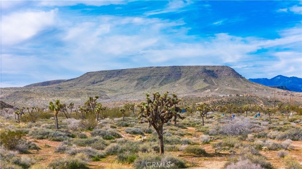 Image 31 of property listing at 55455 Pipes Canyon, Pioneertown, CA 92268