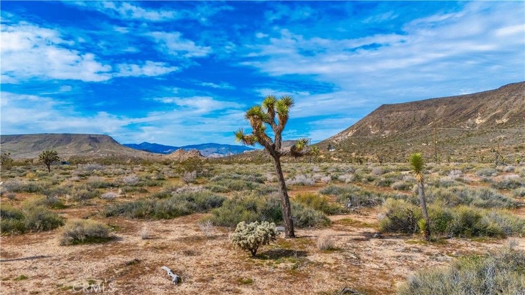 Image 9 of property listing at 55455 Pipes Canyon, Pioneertown, CA 92268