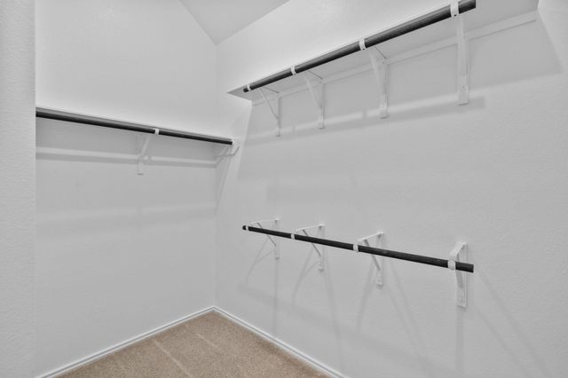 5218 Maple Wood Drive, Manvel, TX 77578