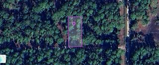 136 HAZEL AVENUE, Georgetown, FL 32139