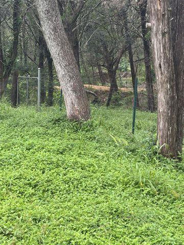 214 The Forest RD, Dale, TX 78616