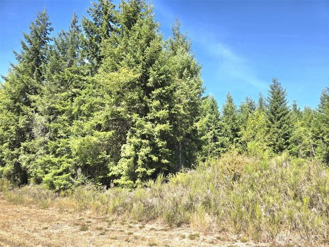 19710 146th Avenue SE, Yelm, WA 98597